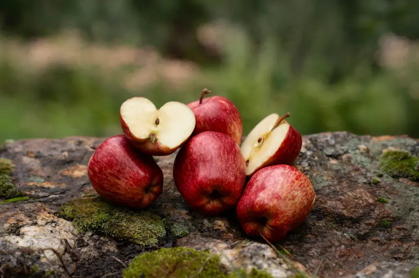 royal kinnaur apples