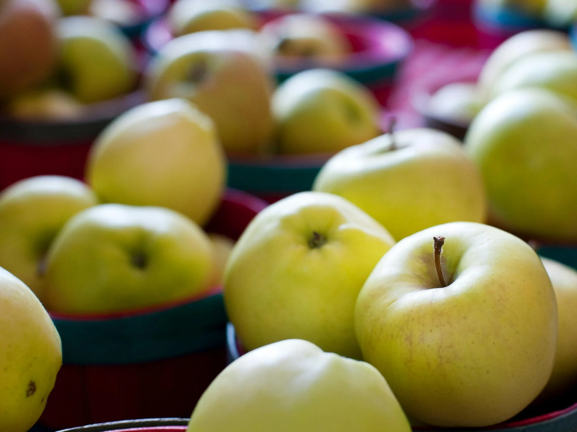 golden delicious apples 